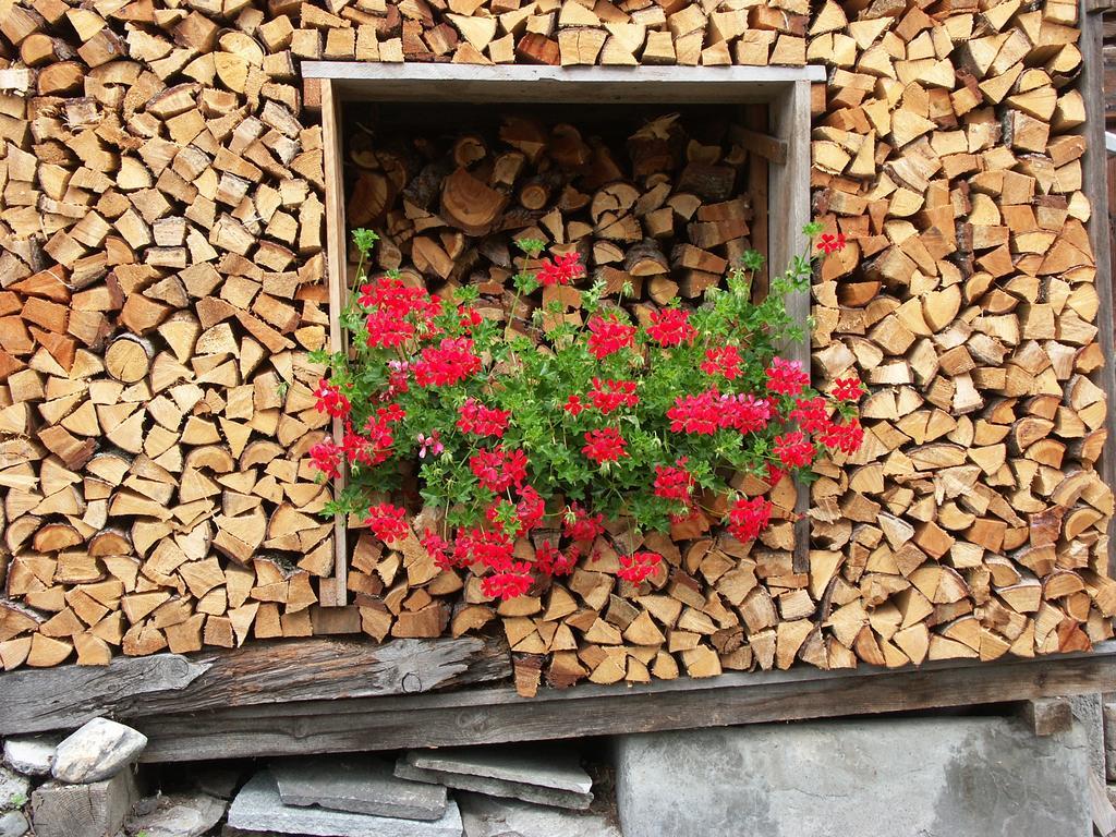 Hotel Piz Tambo Splügen Kültér fotó