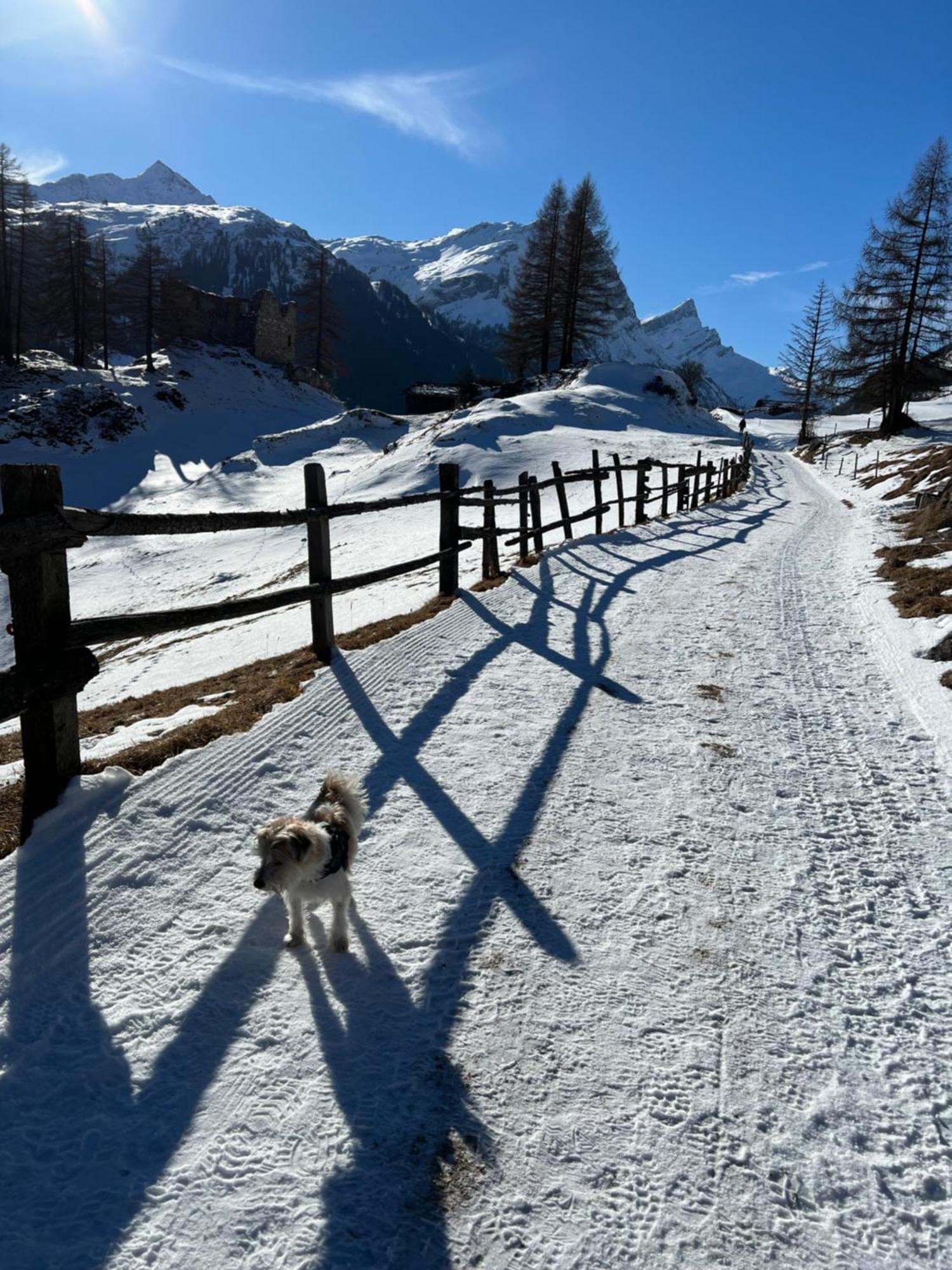 Hotel Piz Tambo Splügen Kültér fotó