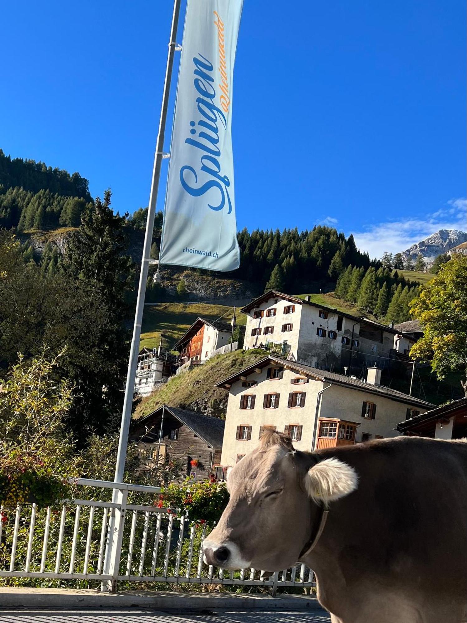 Hotel Piz Tambo Splügen Kültér fotó