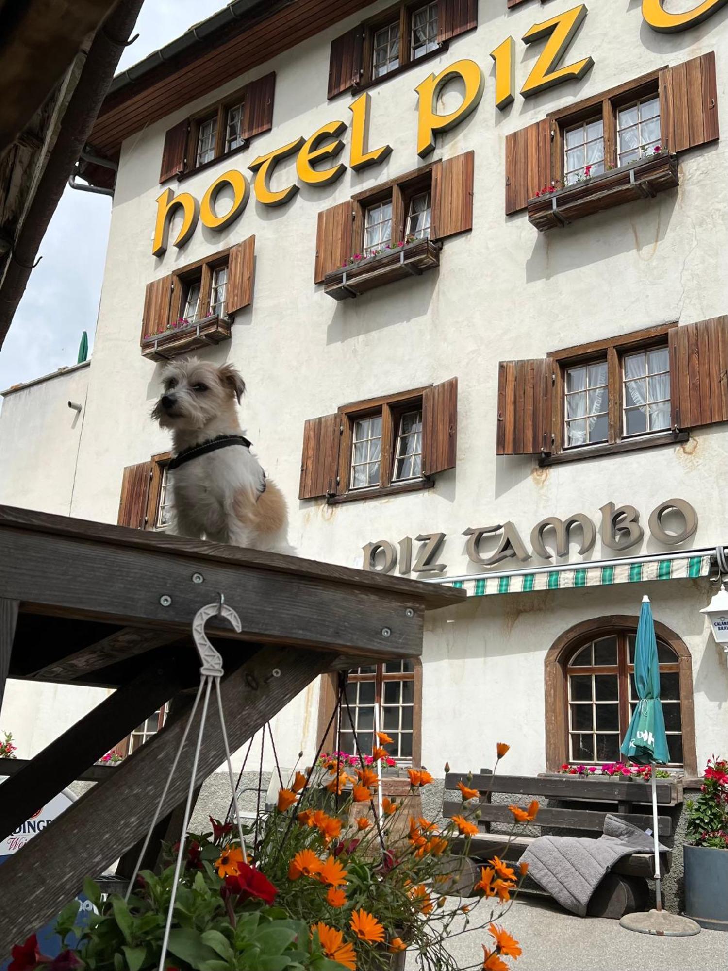 Hotel Piz Tambo Splügen Kültér fotó