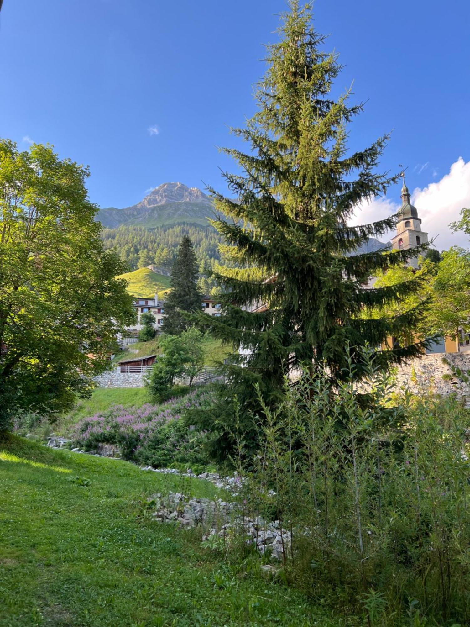 Hotel Piz Tambo Splügen Kültér fotó